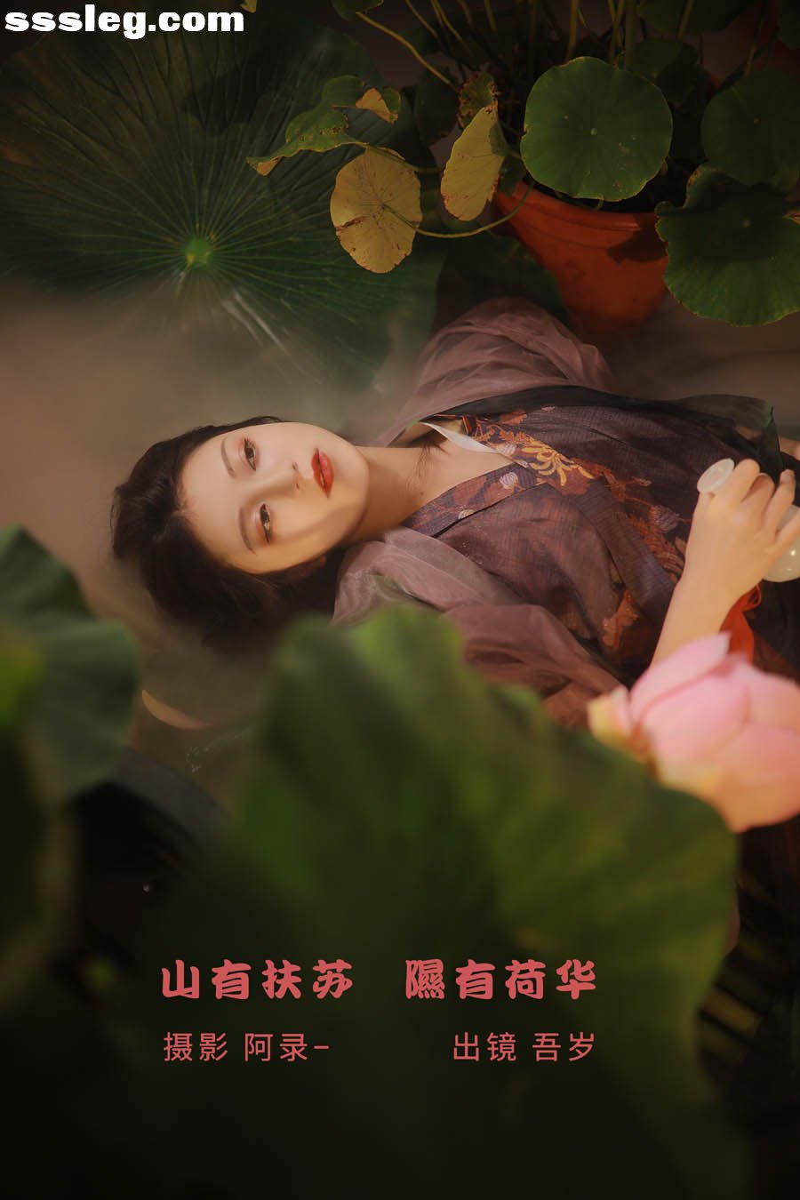 cover.jpg
